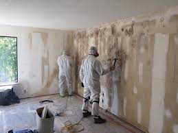 Why You Should Choose Our Mold Remediation Services in Brambleton, VA